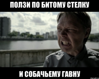 ползи по битому стелку и собачьему гавну
