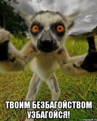  твоим безбагойством узбагойся!