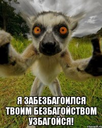  я забезбагоился твоим безбагойством узбагойся!
