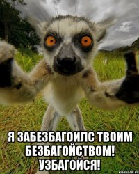  я забезбагоилс твоим безбагойством! узбагойся!