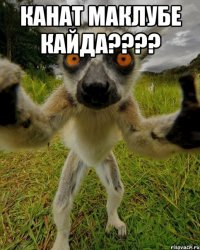 канат маклубе кайда??? 