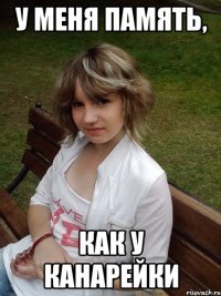 у меня память, как у канарейки