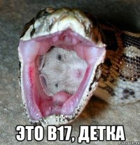  это b17, детка