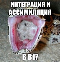 интеграция и ассимиляция в b17