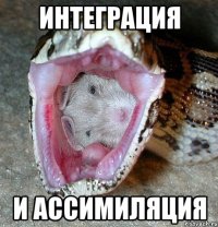 интеграция и ассимиляция