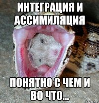 интеграция и ассимиляция понятно с чем и во что...