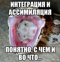 интеграция и ассимиляция понятно, с чем и во что...