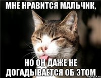 мне нравится мальчик, но он даже не догадывается об этом