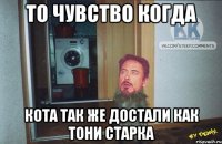 то чувство когда кота так же достали как тони старка