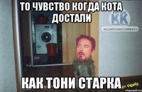 то чувство когда кота достали как тони старка