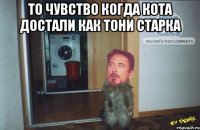 то чувство когда кота достали как тони старка 