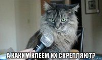  а каким клеем их скрепляют?
