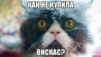 как не купила вискас?