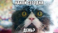 какой сегодня день?