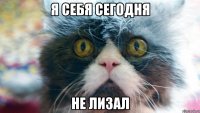 я себя сегодня не лизал
