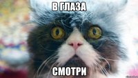 в глаза смотри