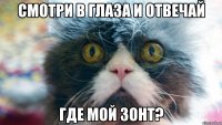 смотри в глаза и отвечай где мой зонт?