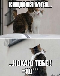 кицюня моя... ...кохаю тебе ! =)))***