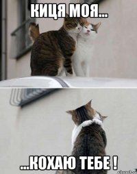 киця моя... ...кохаю тебе !