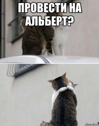 провести на альберт? 
