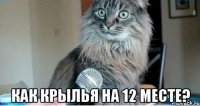 как крылья на 12 месте?