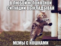 в любой непонятной ситуации выкладывай мемы с кошками
