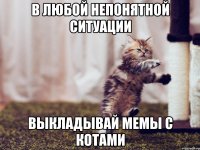 в любой непонятной ситуации выкладывай мемы с котами