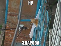 ну здарова