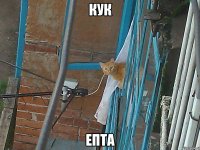 кук епта