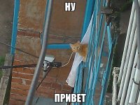 ну привет