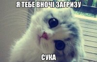 я тебе вночі загризу сука