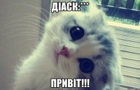 діаск:*** привіт!!!