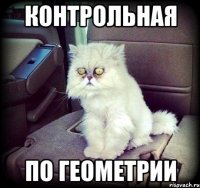 контрольная по геометрии