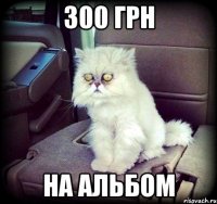 300 грн на альбом