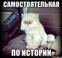 самостоятельная по истории