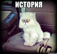 история 