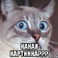  какая картинка???