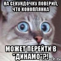на секундочку поверил, что коноплянка может перейти в "динамо"?!
