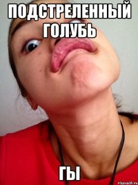 подстреленный голубь гы