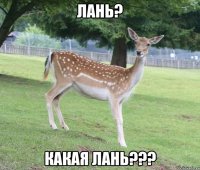 лань? какая лань???