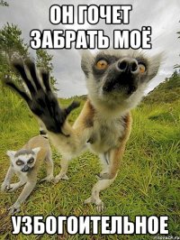он гочет забрать моё узбогоительное