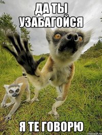 да ты узабагойся я те говорю