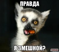 правда я змешной?