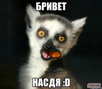 бривет насдя :d