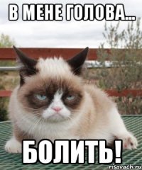 в мене голова... болить!