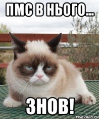 пмс в нього... знов!