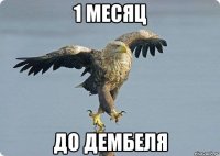 1 месяц до дембеля