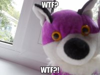 wtf? wtf?!
