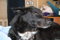 ьть 