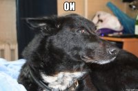 ои 